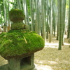 鎌倉 報国寺