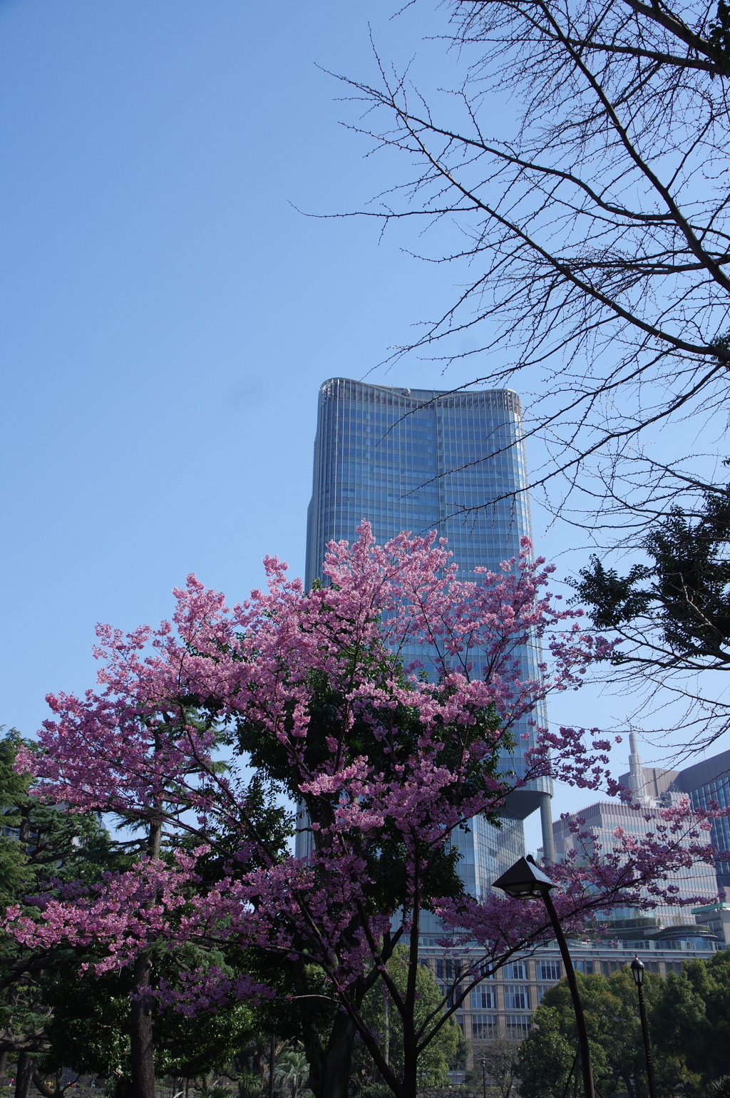 日比谷公園