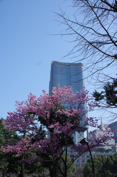 日比谷公園