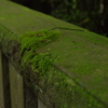 根津神社