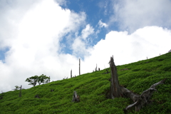 大台ケ原