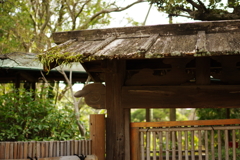 柴又帝釈天 庭園入り口