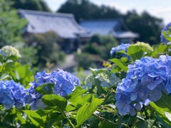 D6360732-B6F6-4A11-900A-7C390F44C6D3