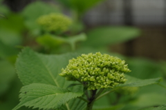 5月