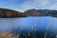 ダム湖の風景
