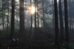 早朝山歩き