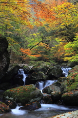 渓谷の彩り
