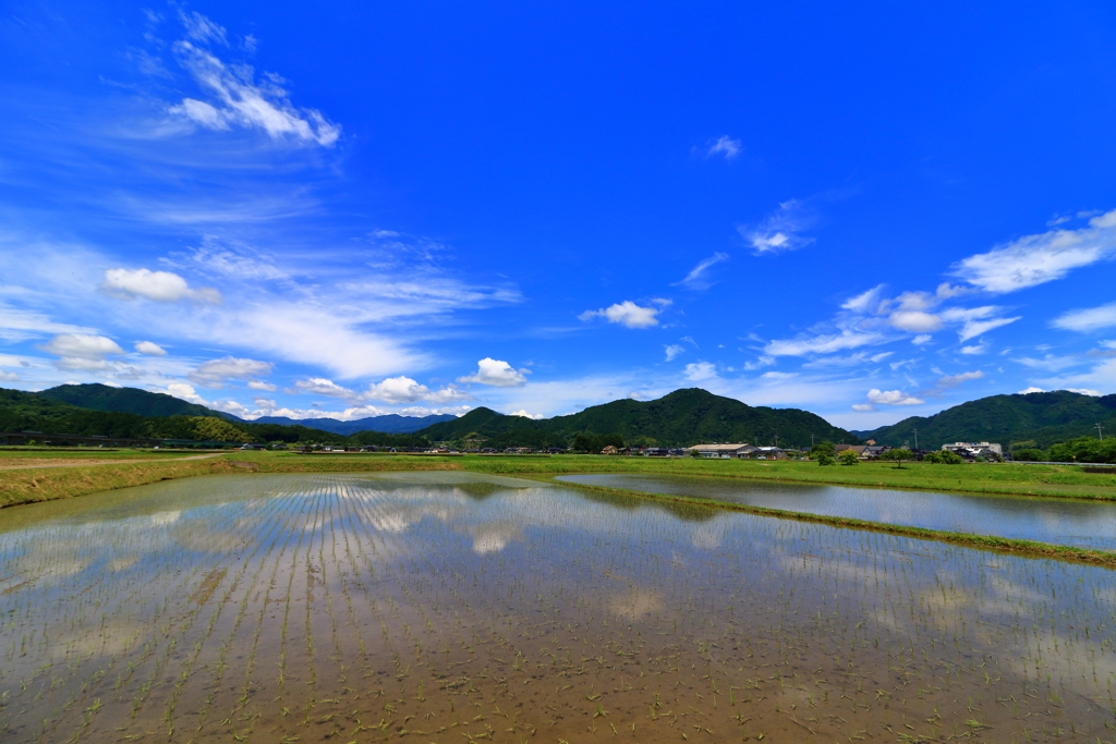 青い空