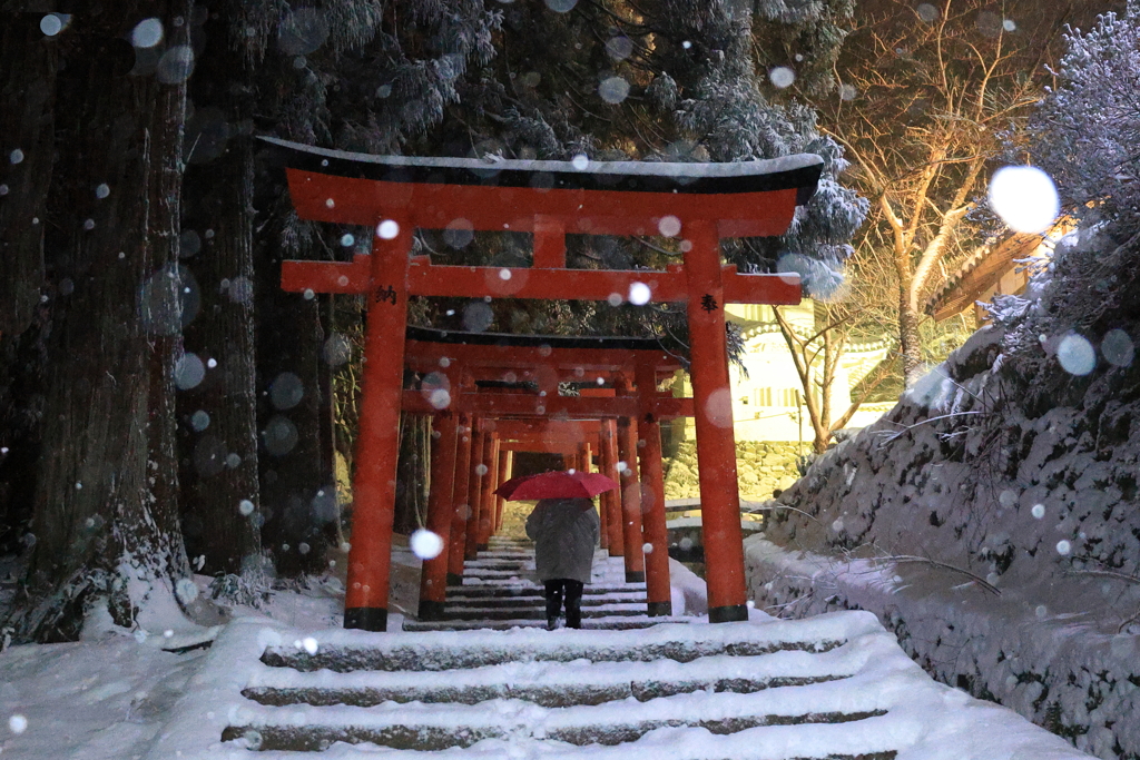 雪舞う参道