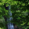 涼音