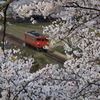 春盛り