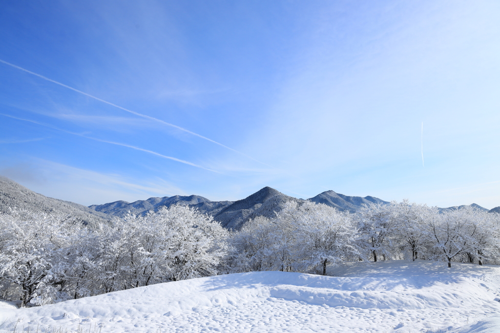 新雪