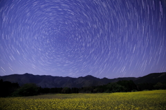 星軌跡と菜の花畑