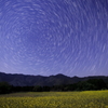 星軌跡と菜の花畑