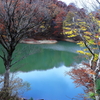 沼の紅葉