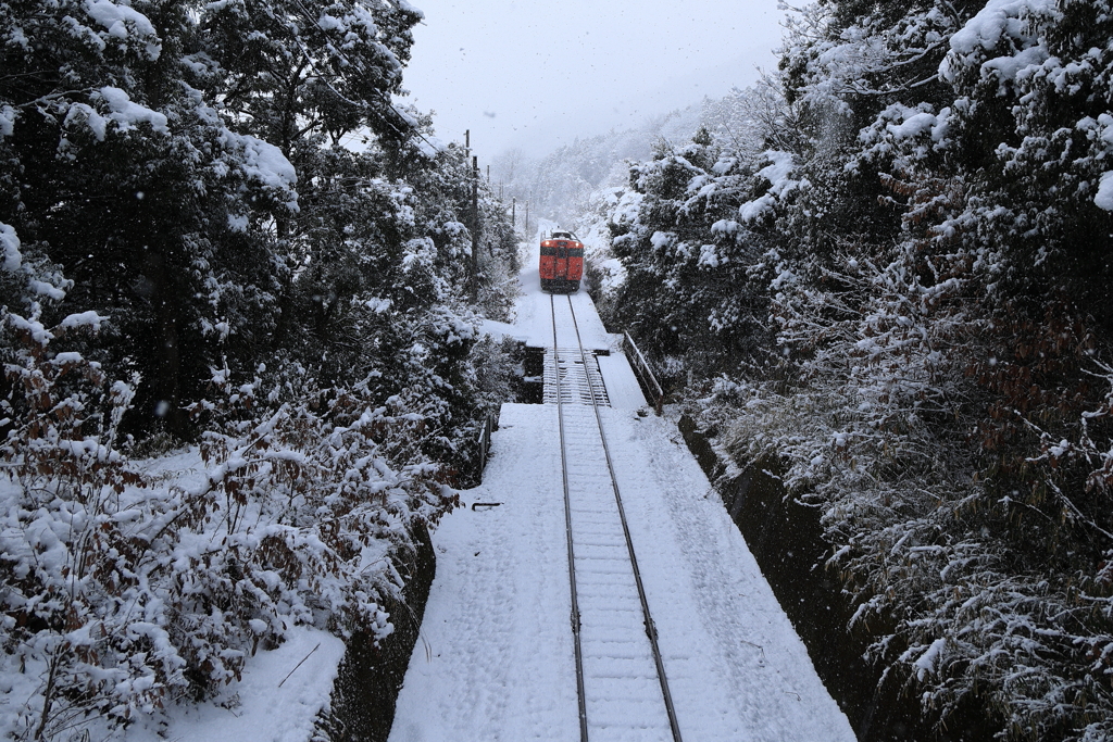 雪中