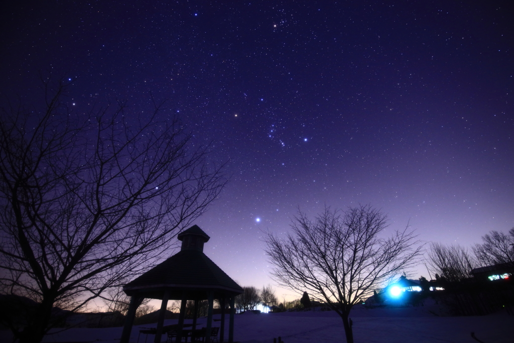 冬の星空