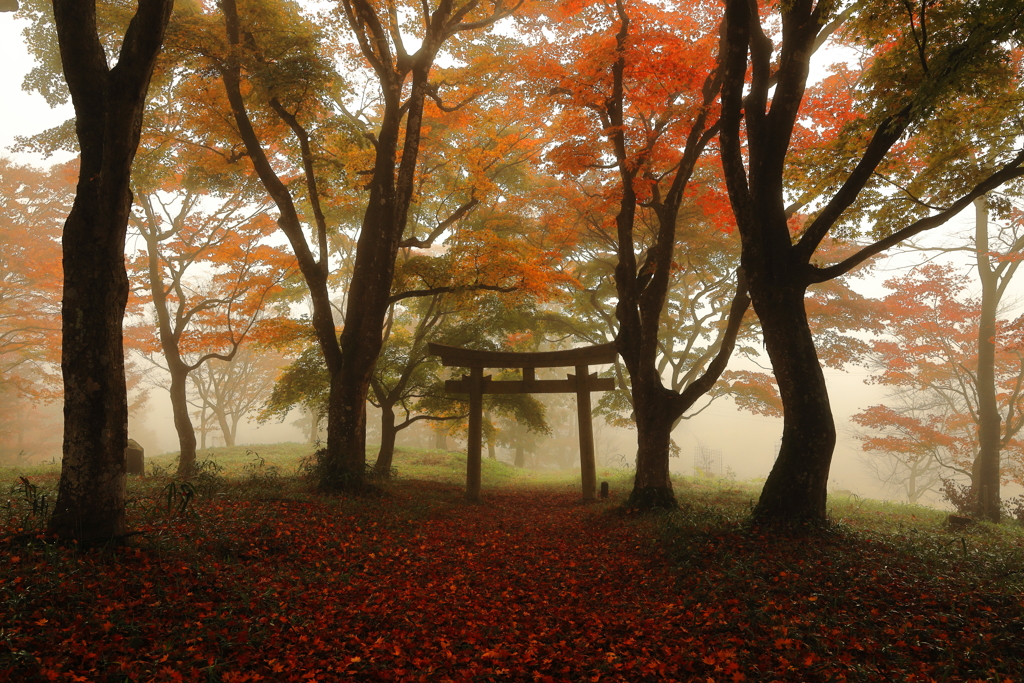紅葉の参道