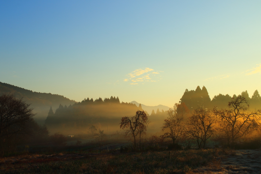 朝の光景