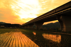 高架橋夕景