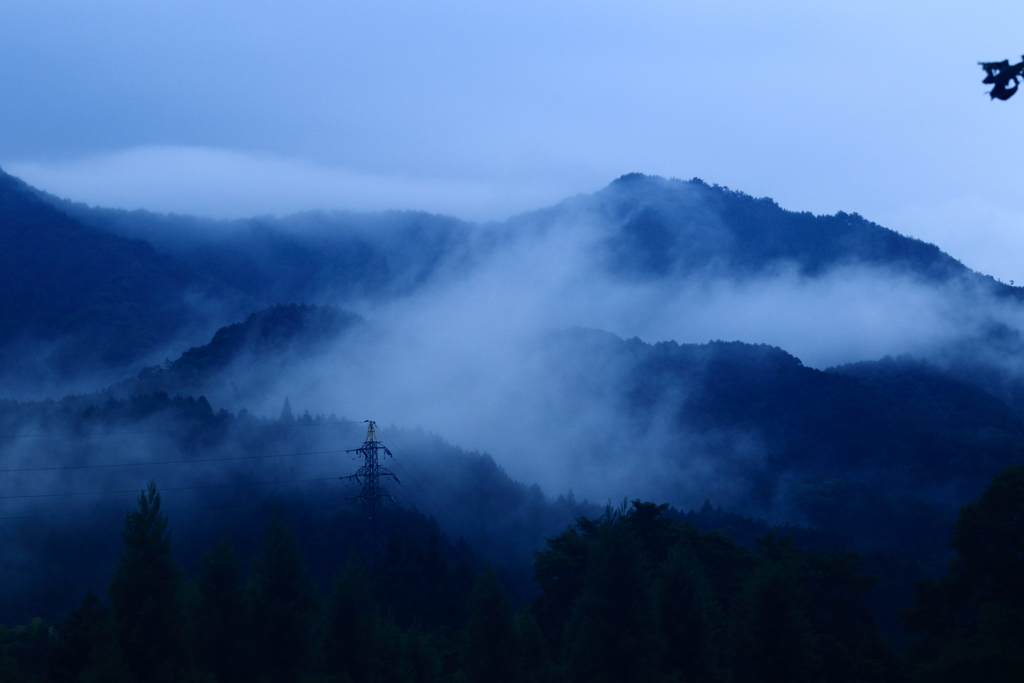 雨上がり