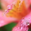 朝から雨２