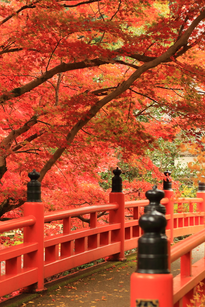 養父神社にて５