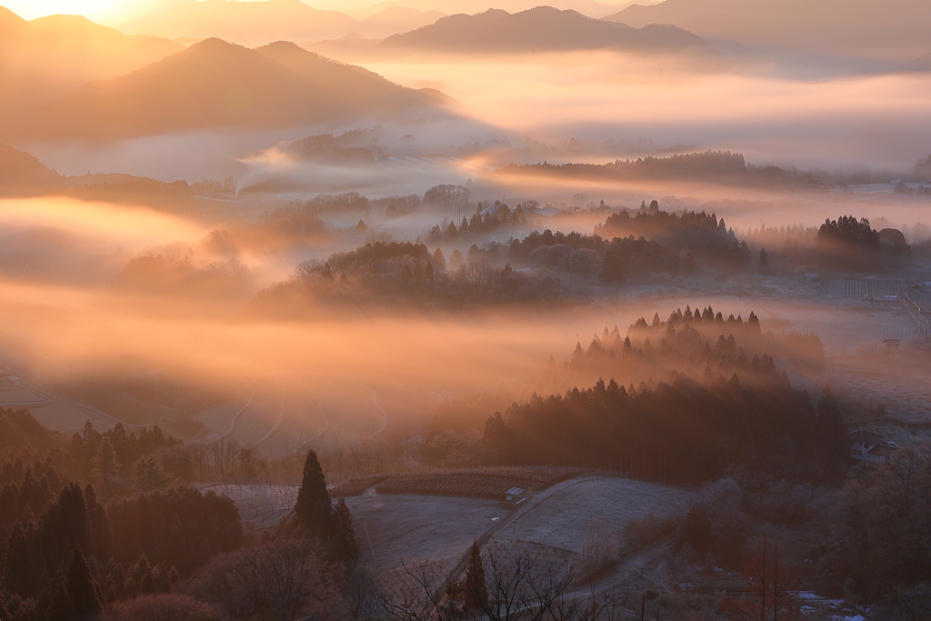 山間朝光