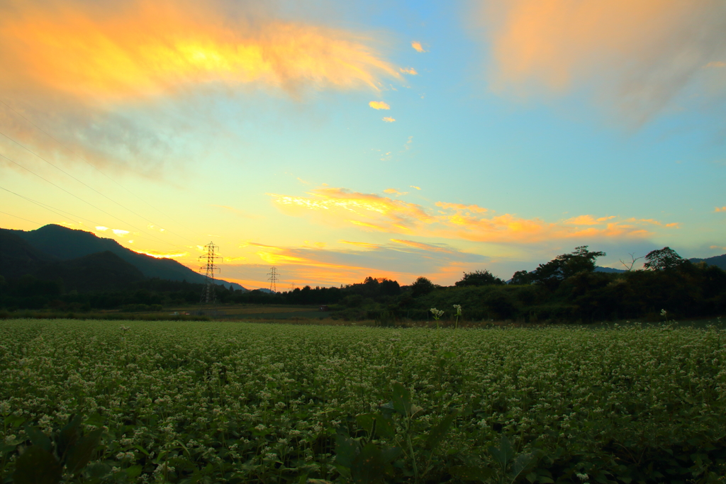 夕景
