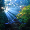 神光