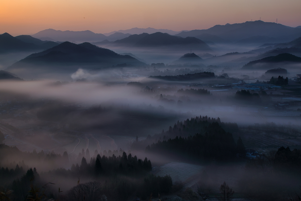 春霧の山地