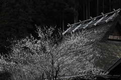 山里