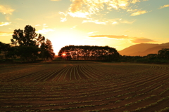 山間夕陽