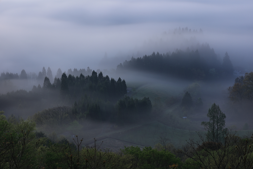 朝霧