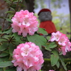 花の寺