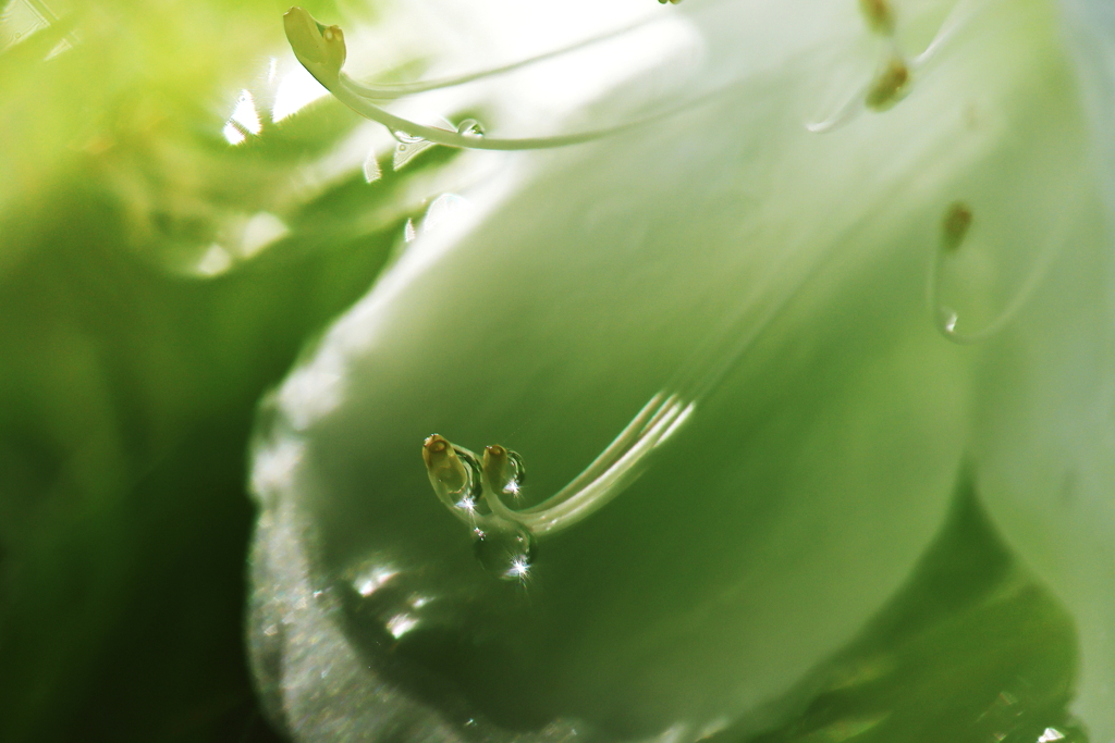 雨上がり