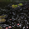 散って流れて！