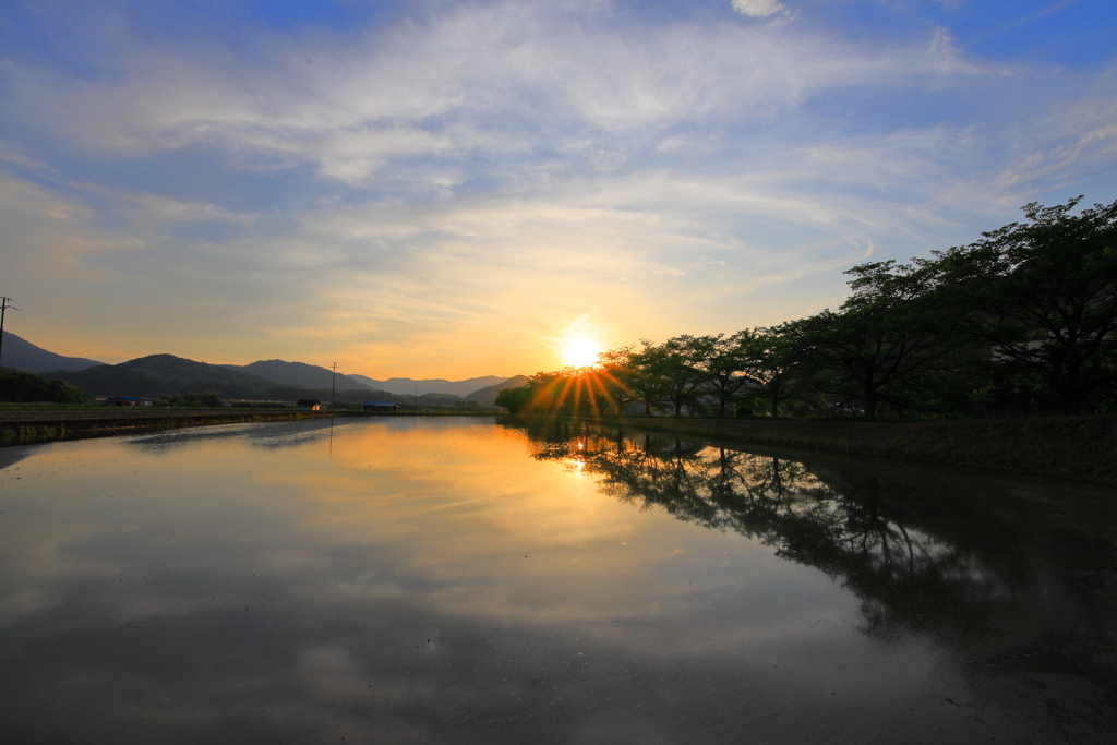 水田夕陽