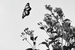 旅の途中 旅の途中