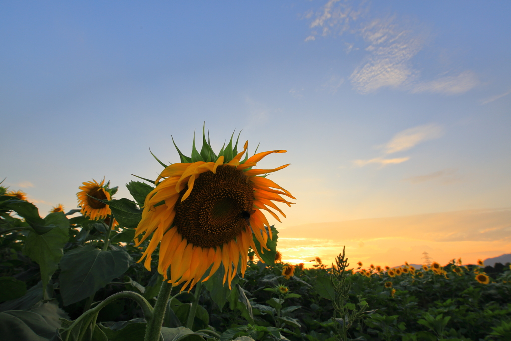 暑い一日でした！