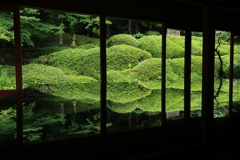 深緑の造形