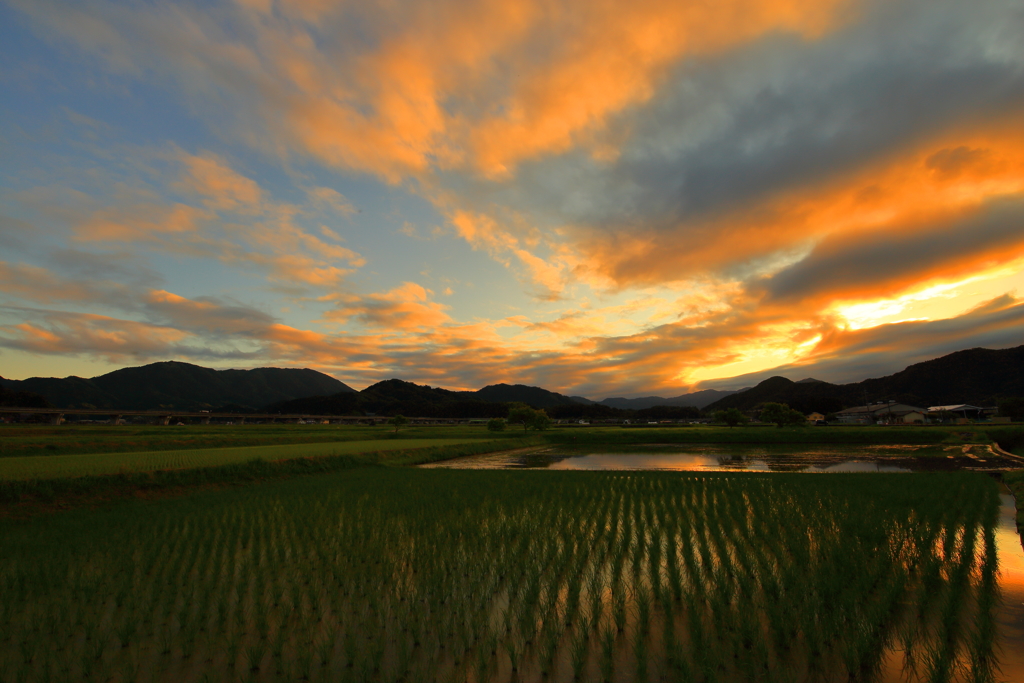 田園夕景