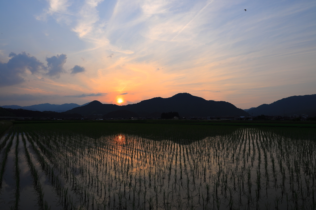 夕景・・夏至の頃