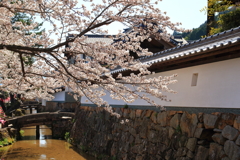 春の寺町