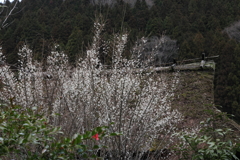 早春の里
