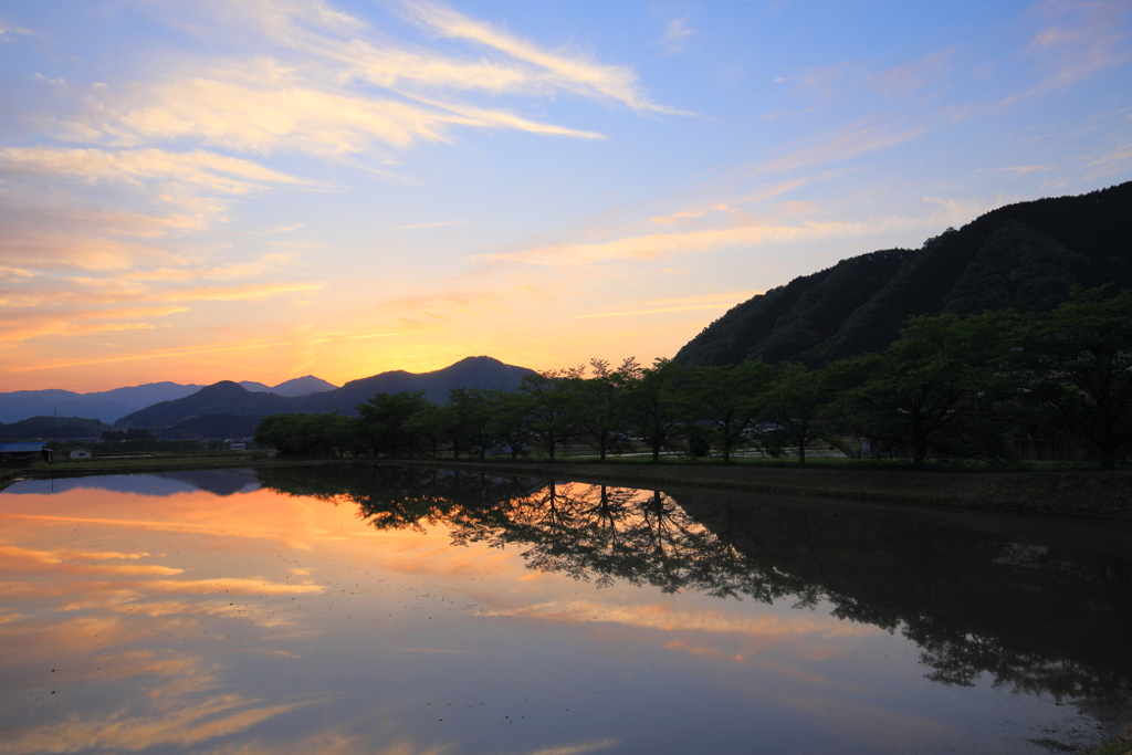 水田夕景２