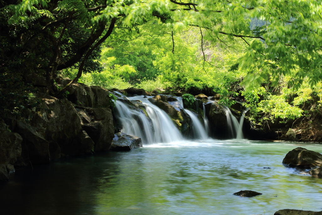 涼やかな気分