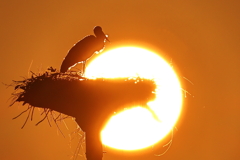 沈む夕日を眺めて・・・