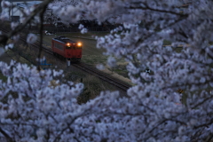 薄暮の頃