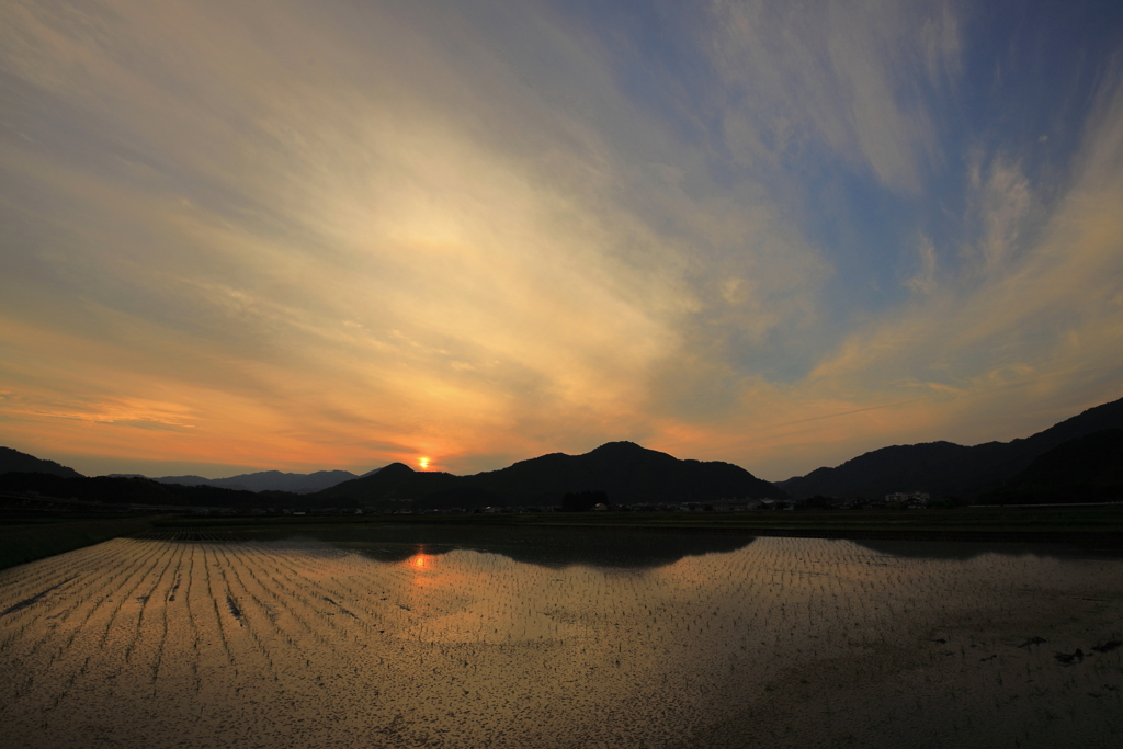 田植えの頃